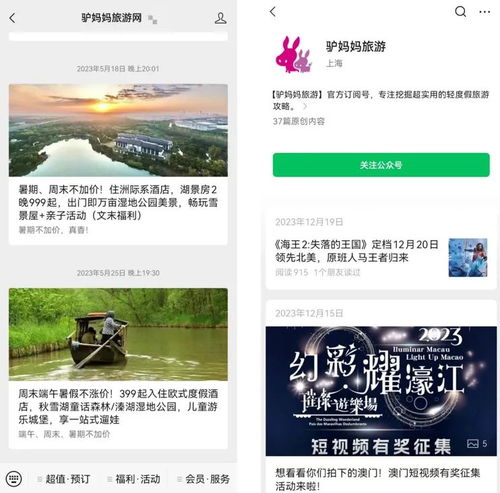 票務(wù)代理服務(wù)巨頭突陷停擺風(fēng)波，多方緊急回應(yīng)引行業(yè)震蕩